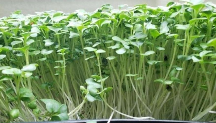 signal 2025 01 18 094737 002 fb6e6d140f 2f3a18d10e